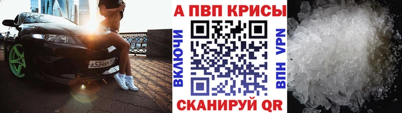 A PVP СК  Тобольск 