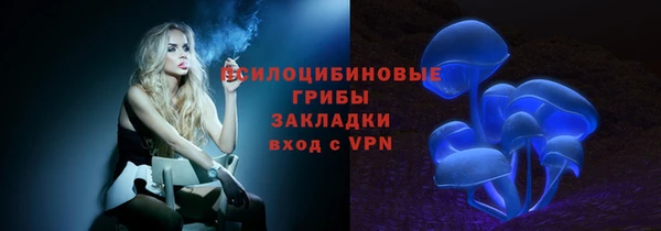 бошки Балахна