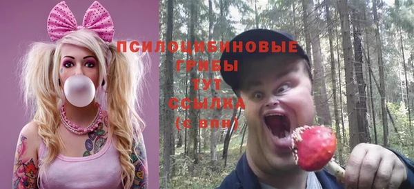 бошки Балахна